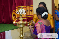 DSC_0223-copy