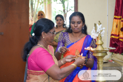 DSC_0224-copy
