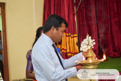 DSC_0227-copy
