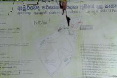 WhatsApp-Image-2025-07-08-at-12.21.53