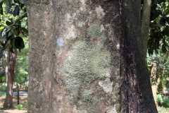 WhatsApp-Image-2025-07-08-at-12.22.02-1