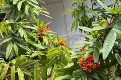WhatsApp-Image-2025-07-08-at-12.22.02