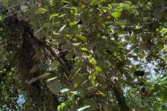 WhatsApp-Image-2025-07-08-at-12.22.03-2