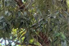 WhatsApp-Image-2025-07-08-at-12.22.06-3