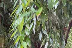 WhatsApp-Image-2025-07-08-at-12.22.06