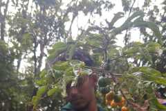 WhatsApp-Image-2025-07-08-at-11.55.36-1