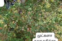 WhatsApp-Image-2025-07-08-at-11.55.41-1