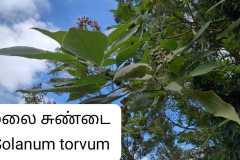 WhatsApp-Image-2025-07-08-at-11.55.41-2