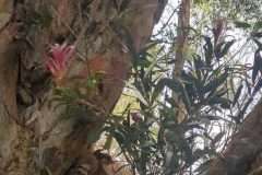 WhatsApp-Image-2025-07-08-at-11.55.41