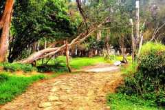 WhatsApp-Image-2025-07-08-at-12.03.44
