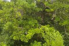 WhatsApp-Image-2025-06-25-at-10.07.40-1