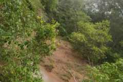 WhatsApp-Image-2025-06-25-at-10.07.40