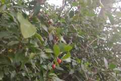 WhatsApp-Image-2025-06-25-at-10.07.42-2