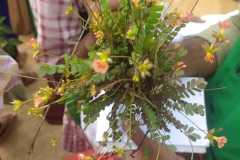 WhatsApp-Image-2025-06-25-at-10.07.42