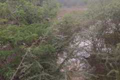 WhatsApp-Image-2025-06-25-at-10.07.43-2