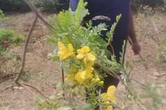 WhatsApp-Image-2025-06-25-at-10.07.44-1