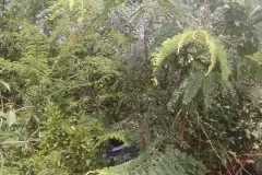WhatsApp-Image-2025-06-25-at-10.07.45-1