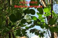 WhatsApp-Image-2025-07-08-at-12.05.34