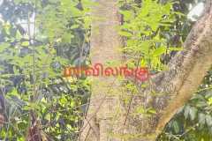 WhatsApp-Image-2025-07-08-at-12.05.35-1