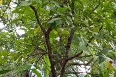 WhatsApp-Image-2025-07-08-at-12.05.37