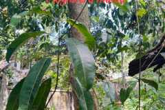 WhatsApp-Image-2025-07-08-at-12.05.38