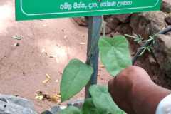 WhatsApp-Image-2025-07-08-at-12.05.45
