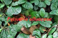 WhatsApp-Image-2025-07-08-at-12.05.48-1
