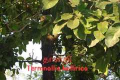 WhatsApp-Image-2025-07-08-at-12.05.52