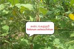 WhatsApp-Image-2025-07-08-at-12.05.53