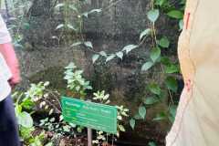 WhatsApp-Image-2025-07-08-at-12.05.54
