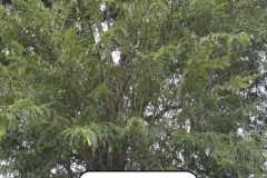 WhatsApp-Image-2025-07-08-at-12.05.58