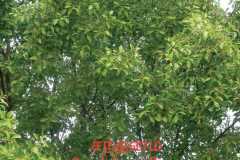 WhatsApp-Image-2025-07-08-at-12.06.08
