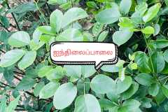 WhatsApp-Image-2025-07-08-at-12.06.09