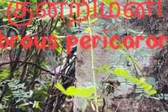 WhatsApp-Image-2025-07-08-at-12.06.10