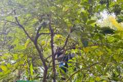 WhatsApp-Image-2025-07-08-at-12.06.11