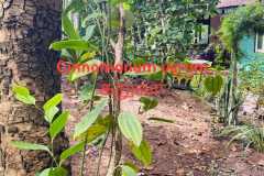 WhatsApp-Image-2025-07-08-at-12.06.12-1