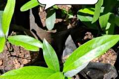 WhatsApp-Image-2025-07-08-at-12.06.12