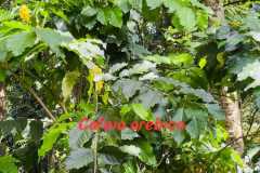 WhatsApp-Image-2025-07-08-at-12.06.13