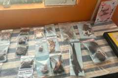 WhatsApp-Image-2025-07-08-at-12.11.33-2