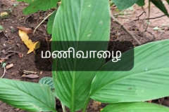 WhatsApp-Image-2025-07-08-at-12.11.33