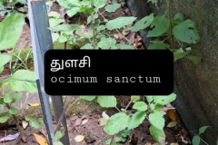 WhatsApp-Image-2025-07-08-at-12.11.35