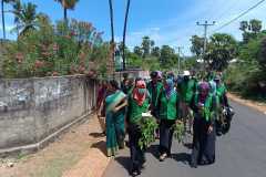 WhatsApp-Image-2025-06-24-at-14.13.58