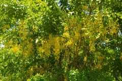 WhatsApp-Image-2025-06-24-at-14.14.07-1